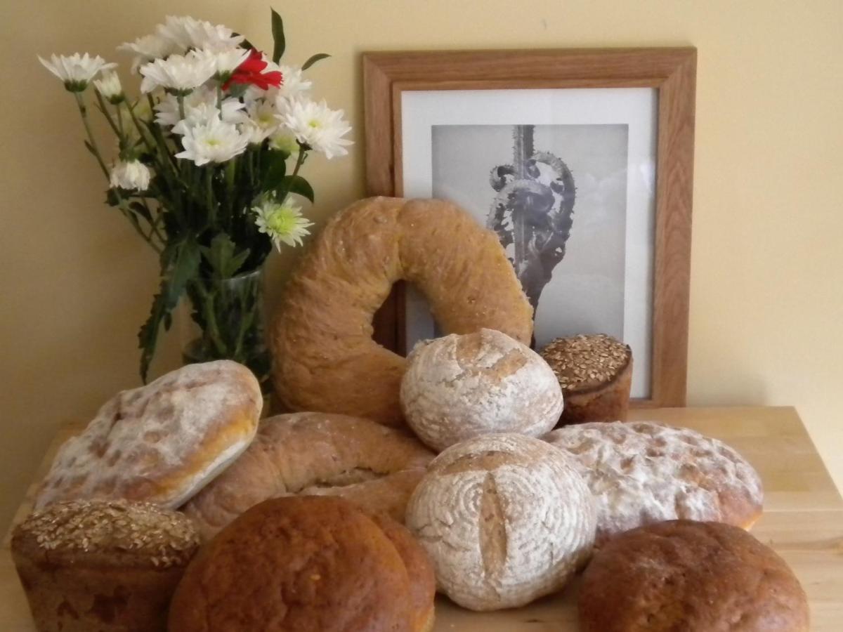 Bed and Breakfast Ancienne Ecole Cazaux-Villecomtal Esterno foto